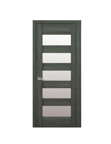 Дверне полотно Бронкс Дуб графіт