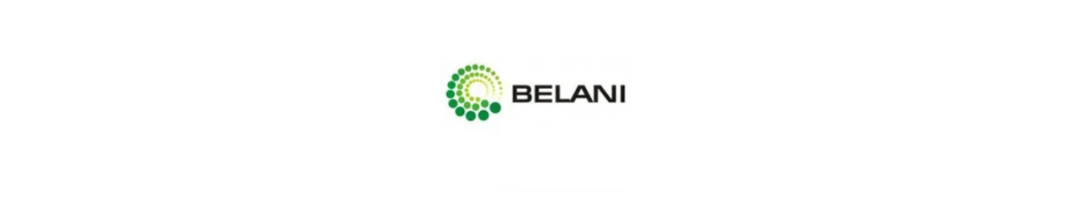 Кахель Belani