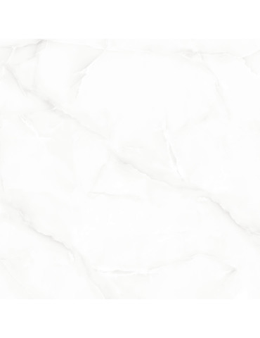 GLORIOUS WHITE (1 сорт)