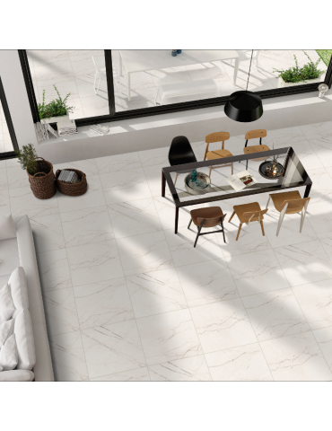 9020 ICE (1 гатунок)