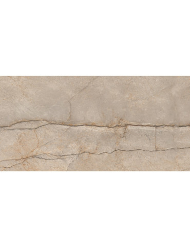 PROZZO CRV 3101 (1 сорт)