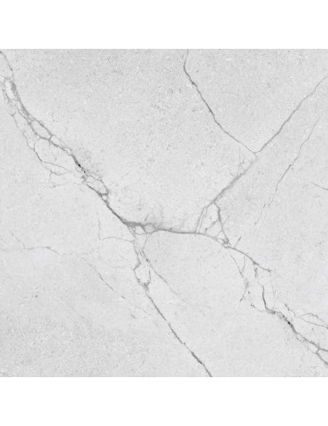 SEGESTA SILVER (1 сорт)