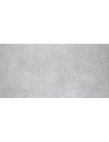 KONCEPT ARGENT (1 сорт)