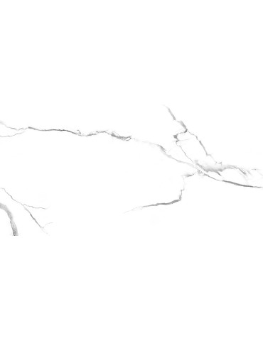 FROST GOLDEN ### (1 сорт)