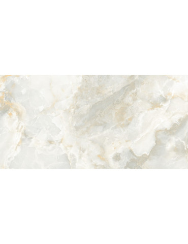 ABSIDE GRIS (1 сорт)