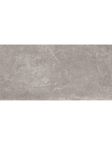 CONCEPT GREY RECTIFICADO 60X120 (1 сорт)