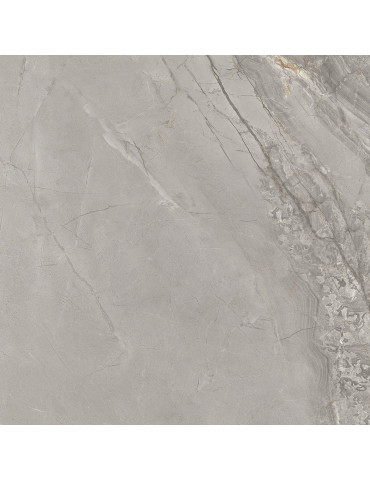 XR6001 LUGO (1 сорт)