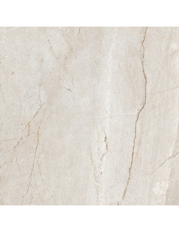 ELEGANT SILVER ### (1 сорт)