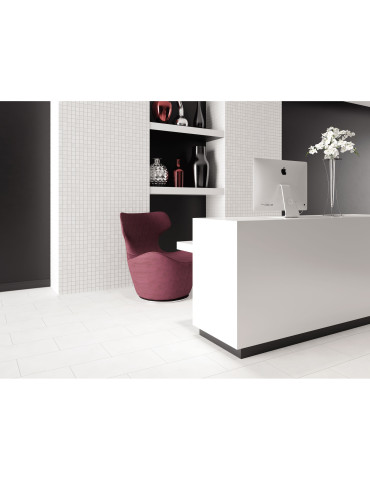 DREAMING WHITE (1 сорт)