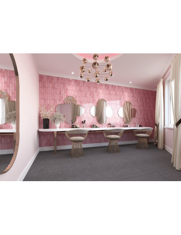 EC.NEXTI PINK (1 сорт)