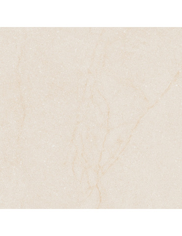 DUSTER бежевий світлий 6060 04021 (1 сорт)