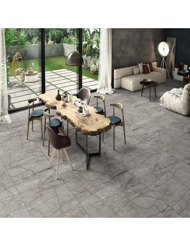 RADDIX GRISS (1 сорт)