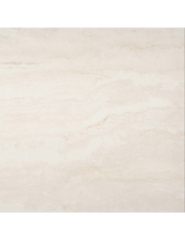 CAMELIA CREAM (1 сорт)