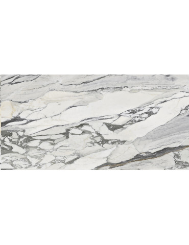 PS3D751501 LILAC PICASSO (1 сорт)