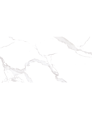 Y18925RP1 AURORA (1 сорт)