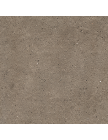 ST6682 FREDO (1 сорт)