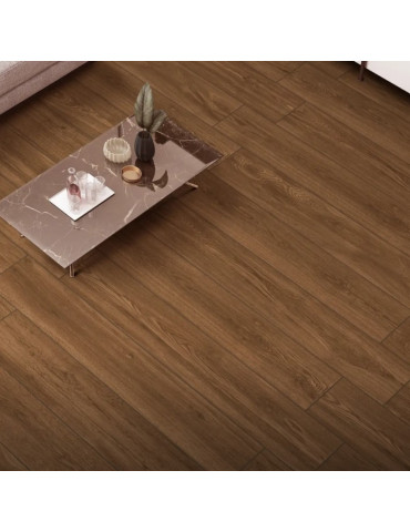 PARADISE BROWN (1 сорт)