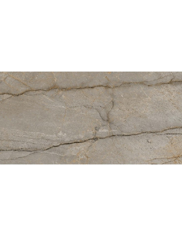 ANTHERIUM CORDA (1 сорт)