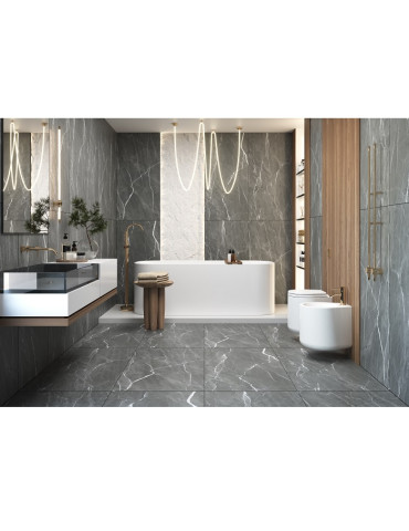 BAGIRA GRIS (1 сорт)