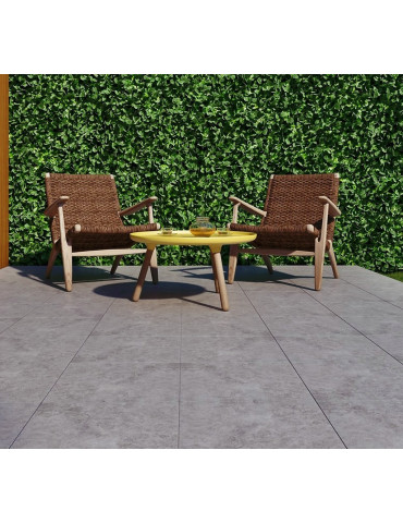 GORAN GRAFIT (1 сорт)