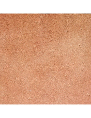 BASE_P VEGA ROJO C-1 (1 сорт)