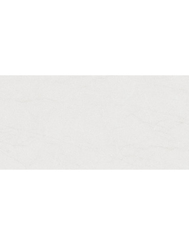 DUSTER сірий світлий 12060 04 071 (1 сорт)