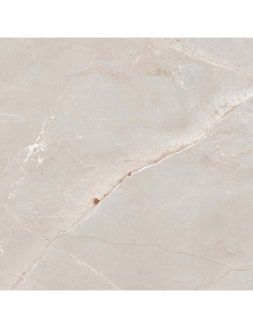 TULIP WHITE ### (1 сорт)