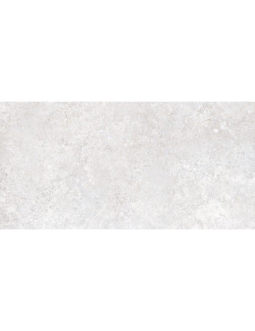 PANTHEON EV ALB CR MT (1 сорт)