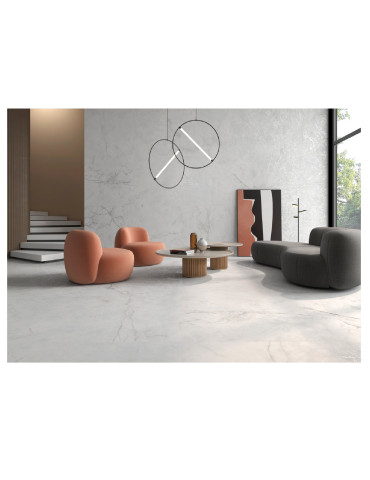 IRIS BLANCO (1 сорт)