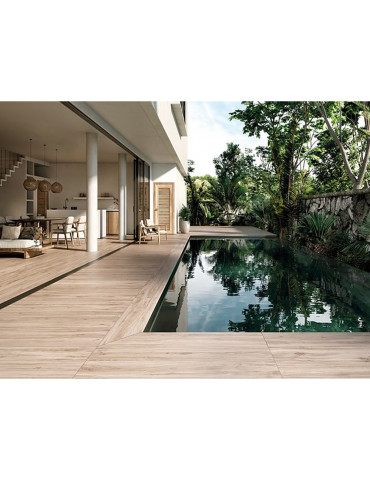 BASE LIZANA HAYA C-1 (1 сорт)