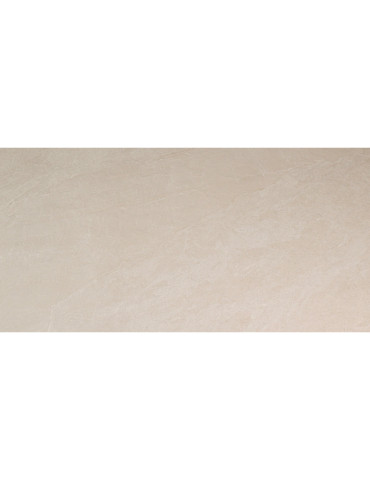 DPS82RT DPS LUNAR 60X120 RETT (1 гатунок)