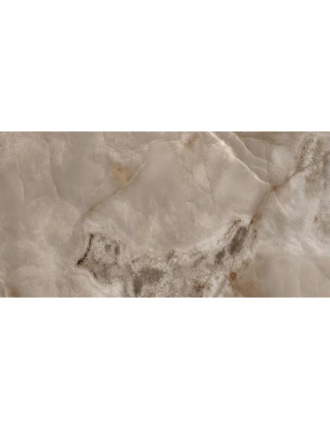 769933 REVES DE REX CHOCO GLO 6MM (1 сорт)