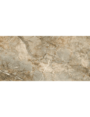 Infinity бежевий темний 12060 211 022/L (1 сорт)