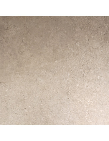 PE PORTLAND SAND MATE 100X100 RECT. (1 сорт)