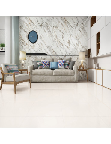 WHITE POL PJ6900 (1 сорт)