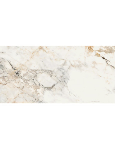 AE PAO6 12 RM (1 сорт)