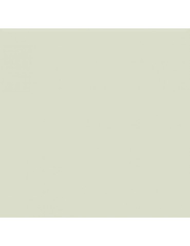BEIGE POL PA6600 (1 сорт)