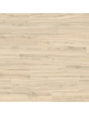 MADISON HAYA (1 сорт)