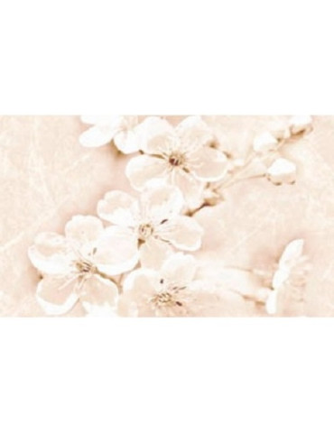 SOFI INSERTO FLOWER (1 сорт)