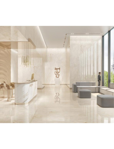 ARISE бежевий 6060 47021/L (1 сорт)