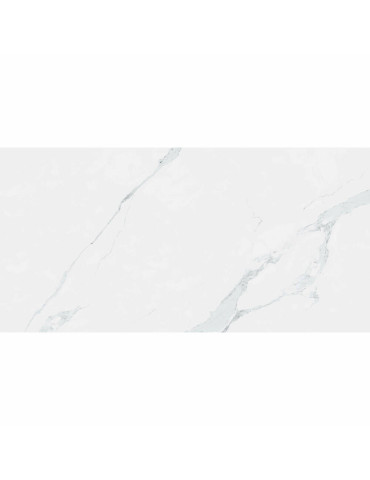 K1264334YAM MAESTRO (1 сорт)