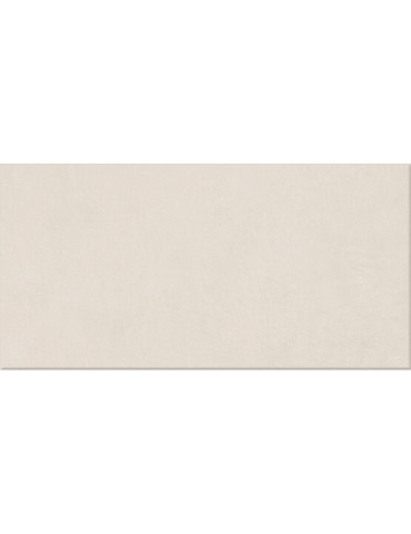 ARGILLAE NEVE 60X120 (1 сорт)