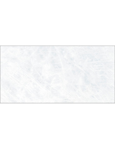 IRIS BLANCO (1 сорт)