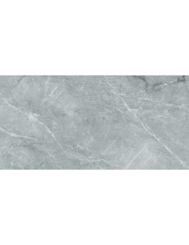 Atlantide сірий 12060 204 072/L (1 сорт)