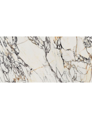 0009024 SPR.TREAS.CORCHIA GOLD LUX R 60X120 (1 сорт)