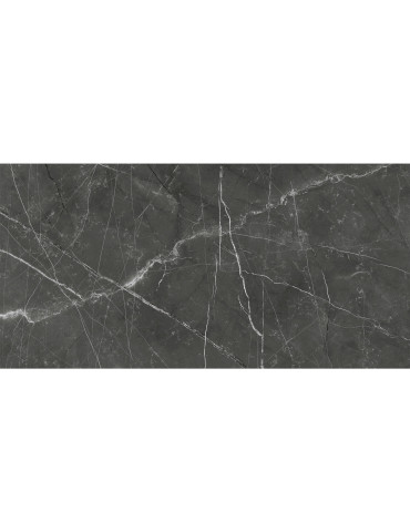 PULPIS сірий 12060 40 071 (1 сорт)