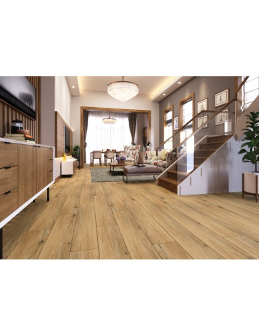 APRICOT HONEY (1 сорт)