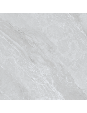 JW69101 DION (1 сорт)