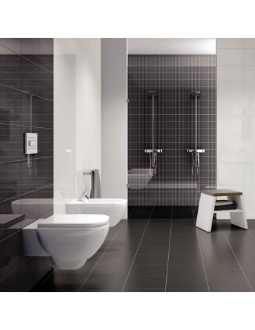 BLACK POL 6603 (1 сорт)