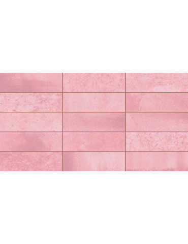 EC.NEXTI PINK (1 сорт)